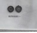 Click for 1 image(s) for this accession. FRUIT